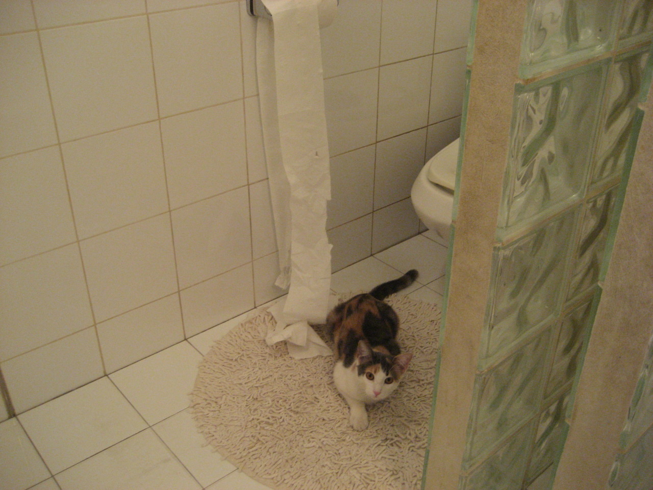 Kaiyun(中国)开云-青训“人才+设备+场馆”产业链全景布局，行业生态不断完善，青训队伍