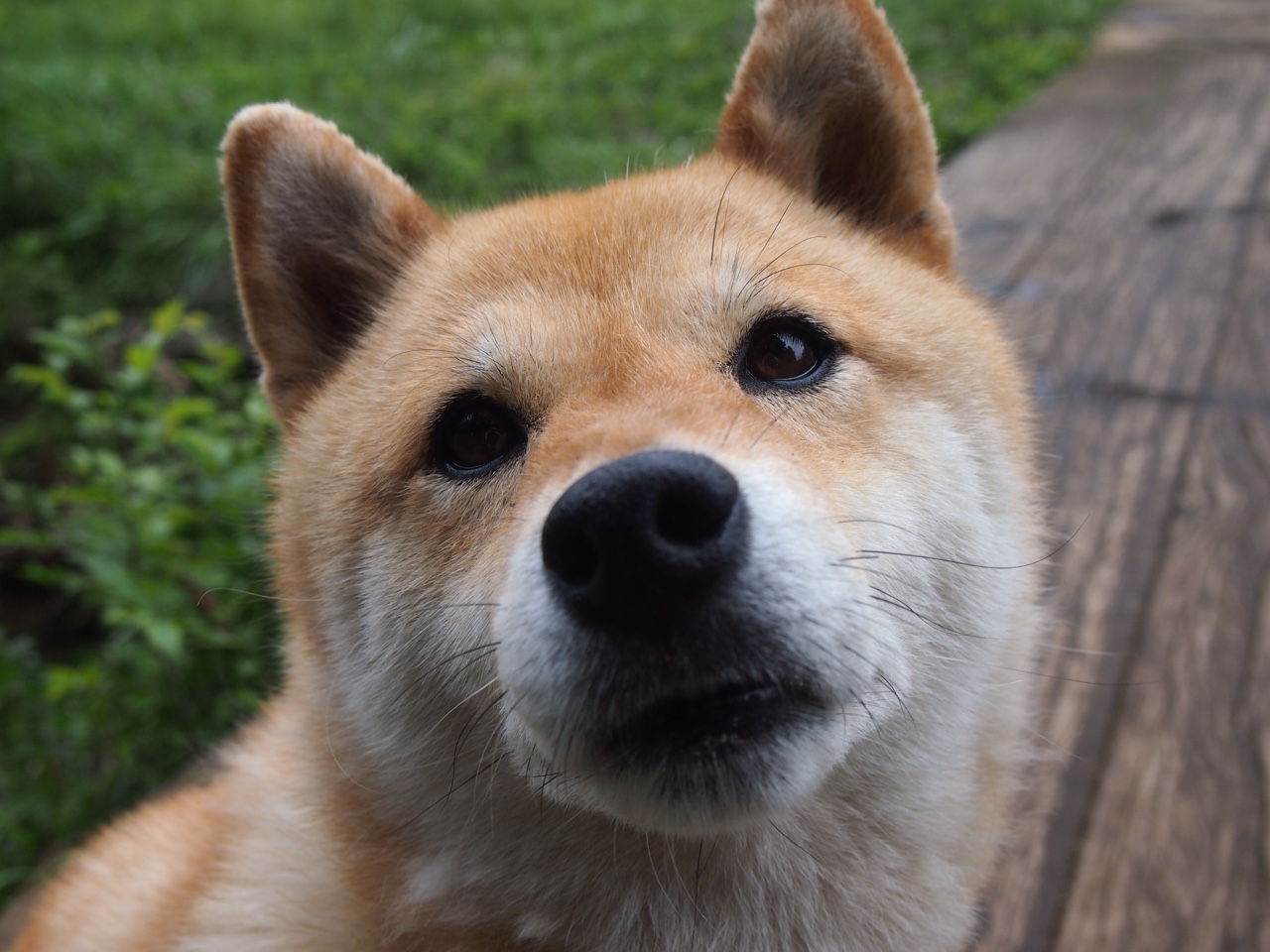 中国足球俱乐部管理水平不断提升,中国足球俱乐部改革