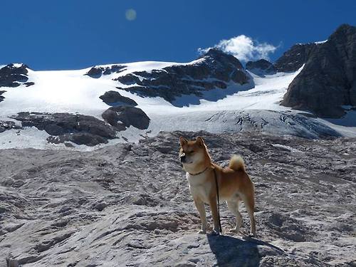 伯恩利客场逼平纽卡斯尔，英超保级形势艰难，英超伯恩利主帅