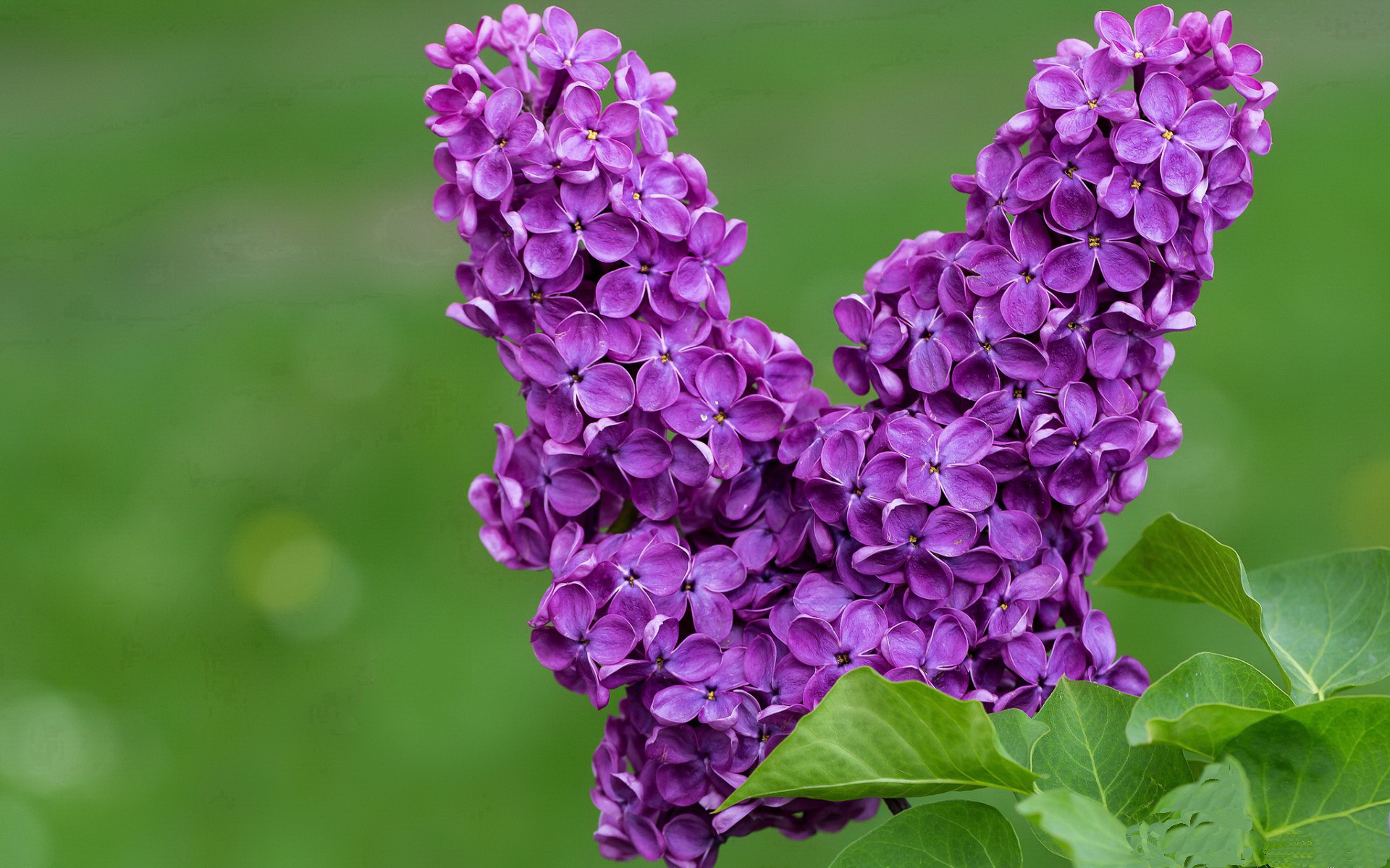 国足在世界杯预选赛中的战术调整策略，国足世界杯预选赛形势分析