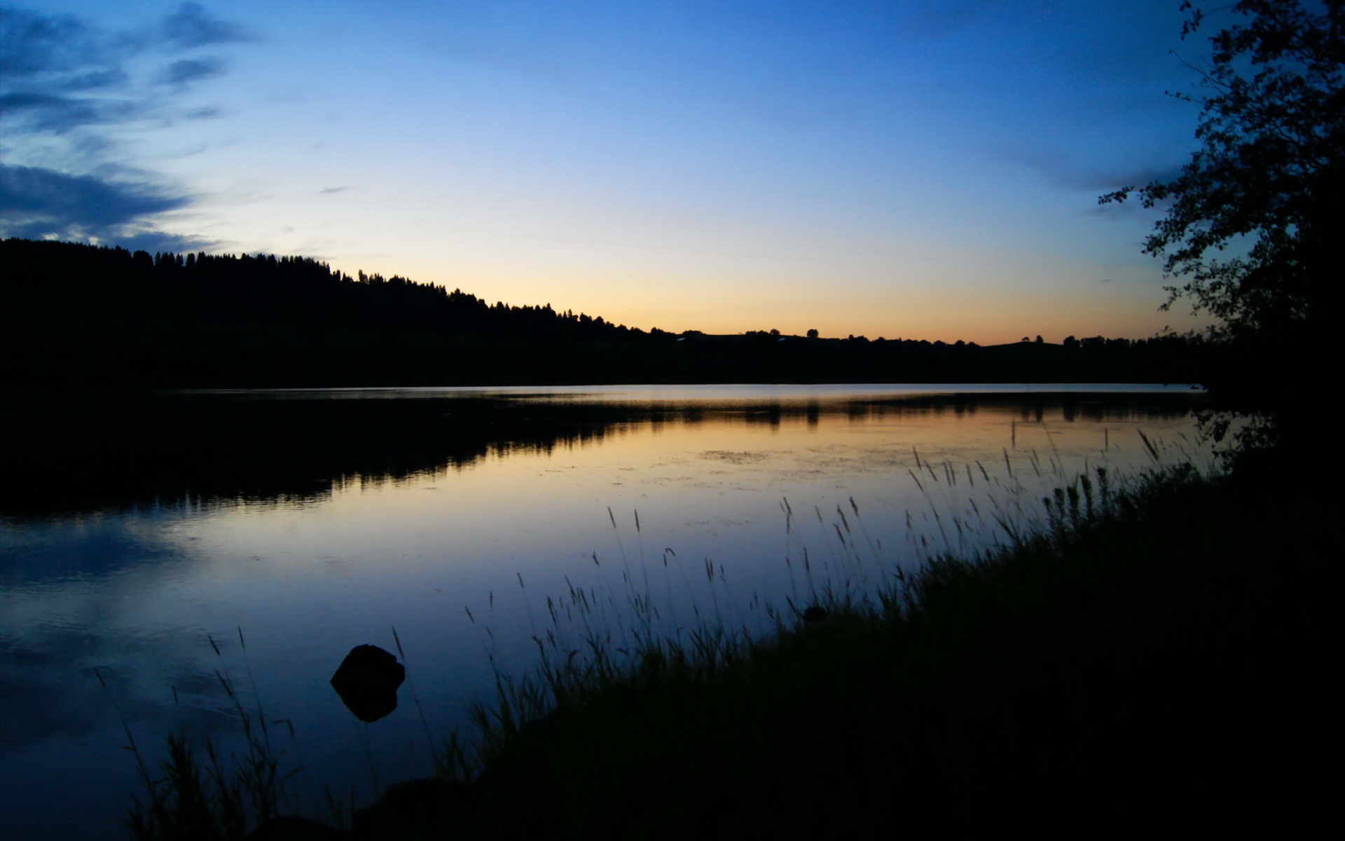 巴黎圣日耳曼前锋刷爆纪录,攻势如破竹令对手绝望,前巴黎圣日耳曼球员