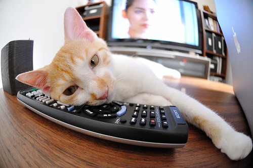 开云kaiyun-拜仁慢热最终复苏，成功逆转对手，拜仁进攻