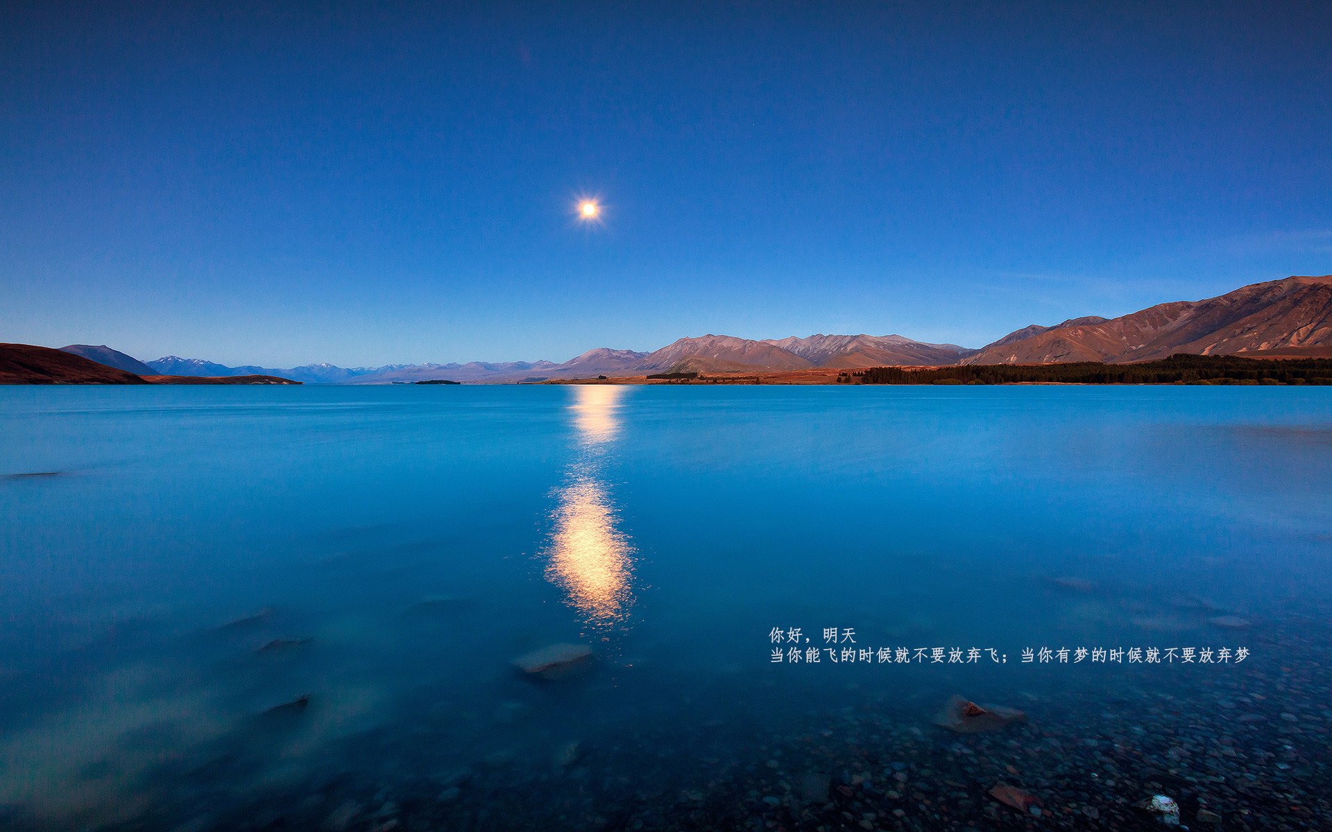 蔚山现代队长带伤出战鼓舞全队,蔚山现代是什么联赛