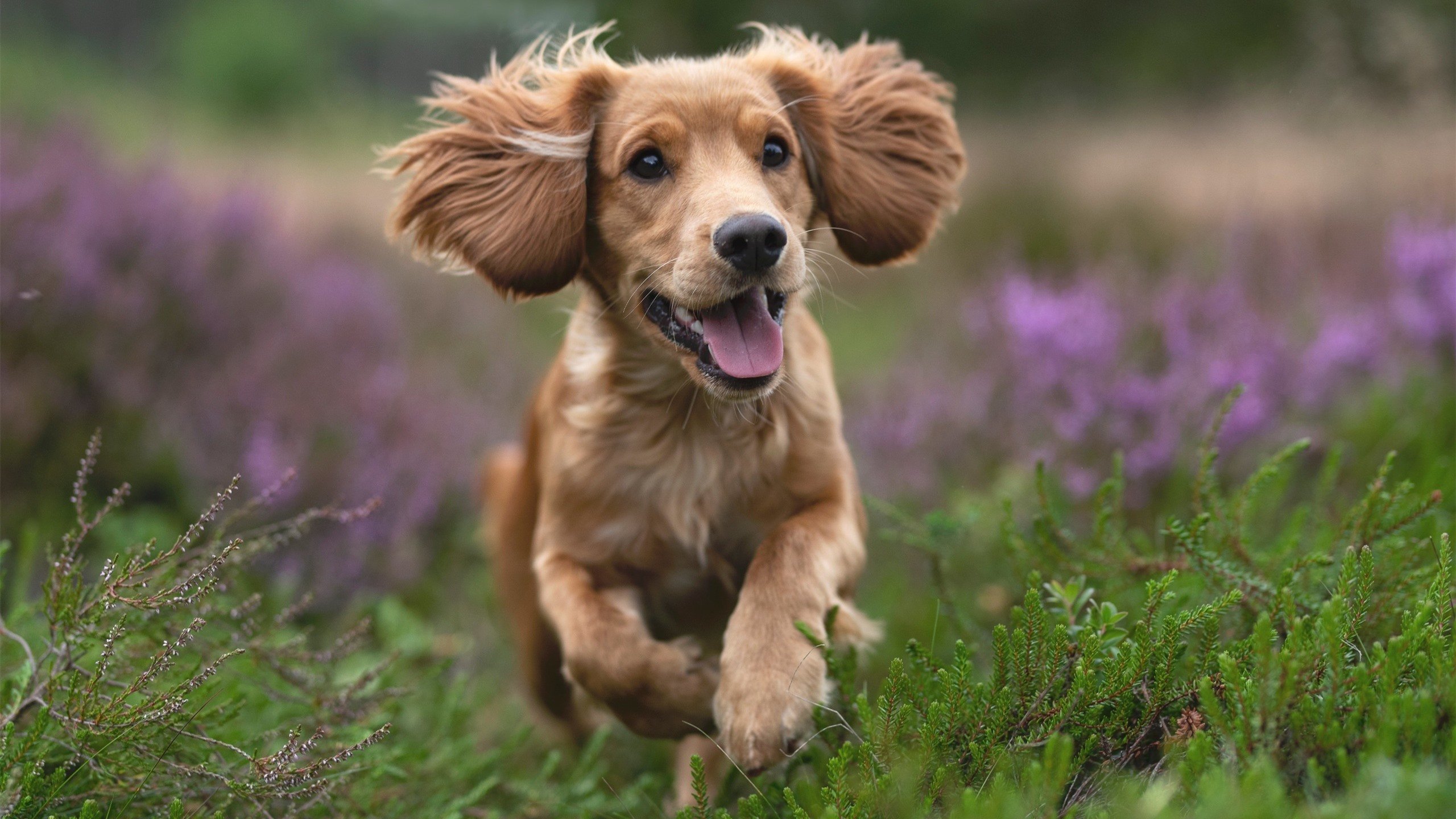 开云入口-足球豪门争霸，争夺胜利激烈异常，足球 豪门