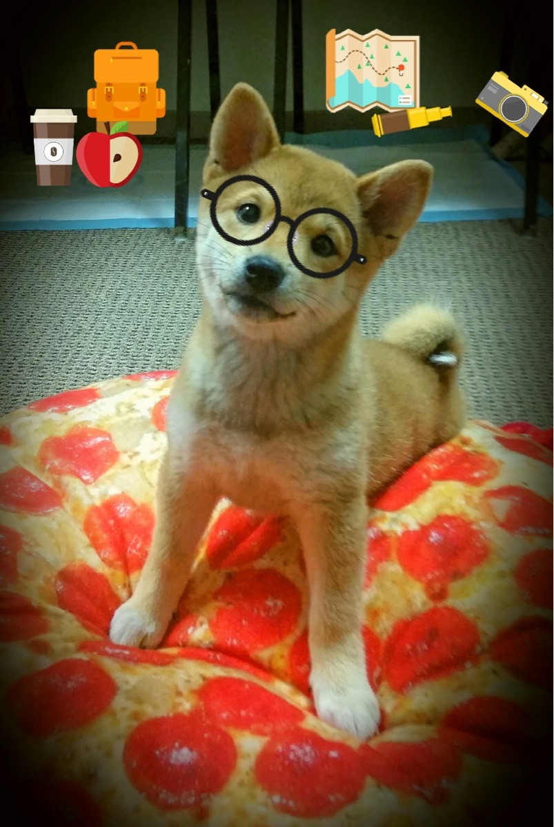 kaiyun官方网站-中国篮球联赛赛事数据分析与战术调整系统开发，篮球大数据平台中国篮协