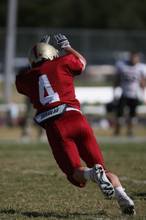 开云官方网页登录-中超球队传球链路密集度评分系统