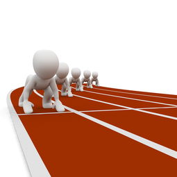 开云网页版-体育赛事市场发展趋势分析与对策，体育赛事市场发展趋势分析与对策论文