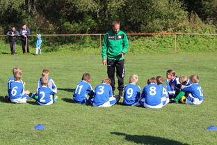 开云官方网页登录-国足高密度对抗中战术应变能力评分模型