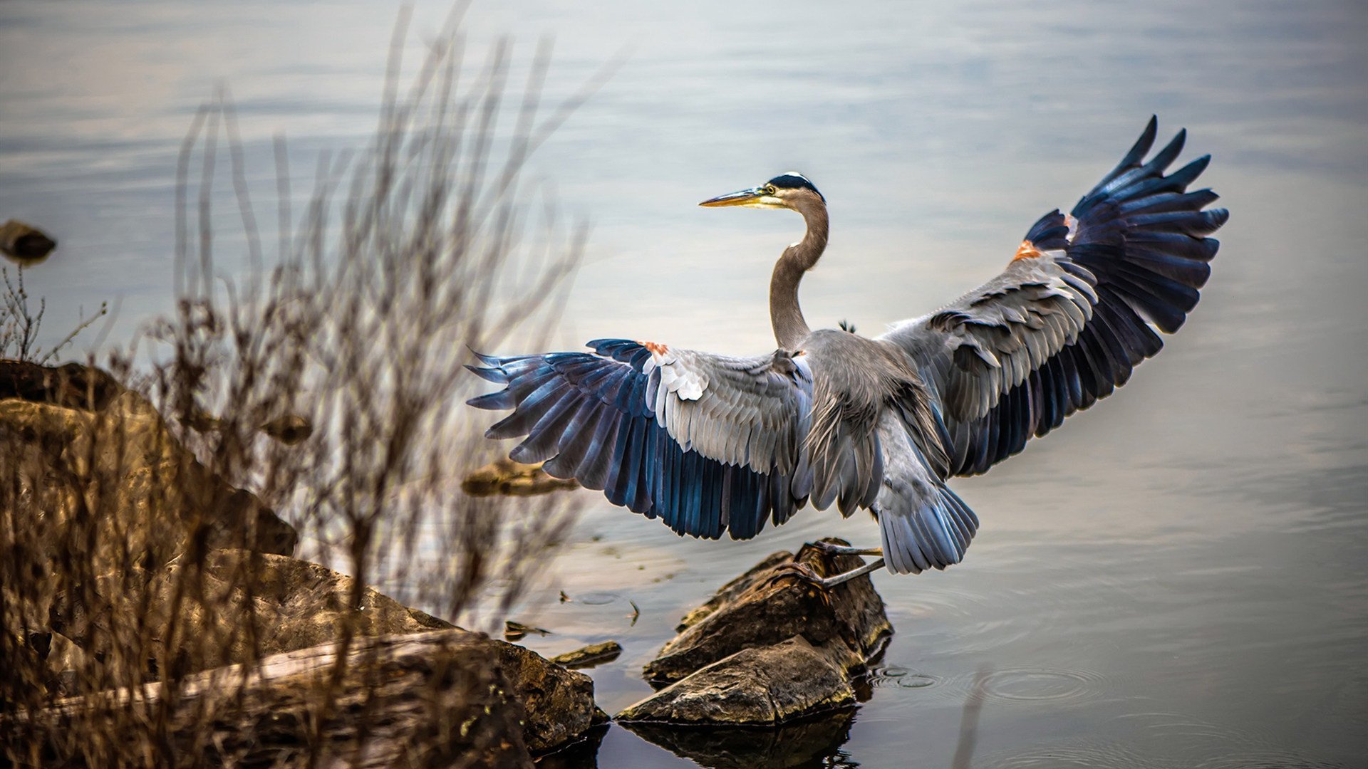 开云网页版-男足U21国家队迎来历史性突破，男足u21国家队迎来历史性突破