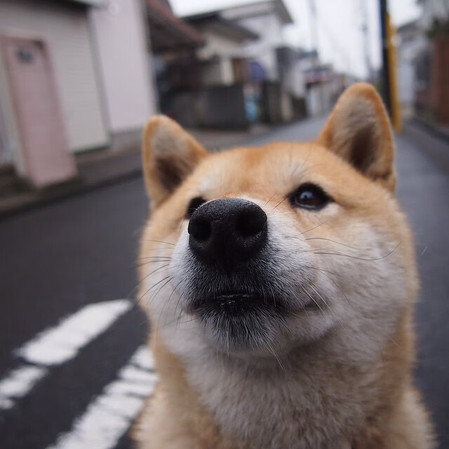 赛季受伤分析:运动员康复的最新技术应用,运动员伤后康复