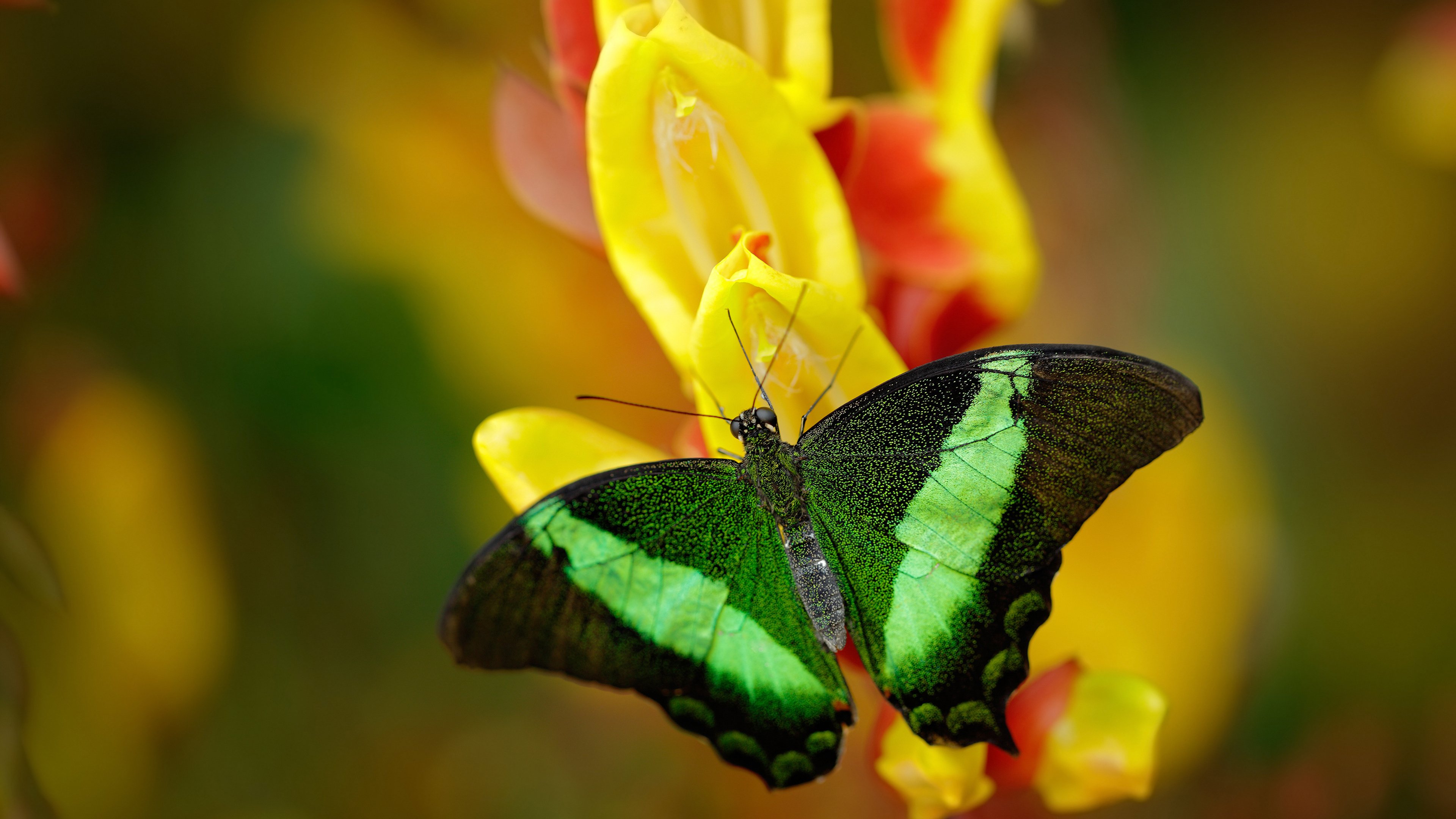 高校体育场馆对外开放政策实施现状调研,高校体育场馆管理办法