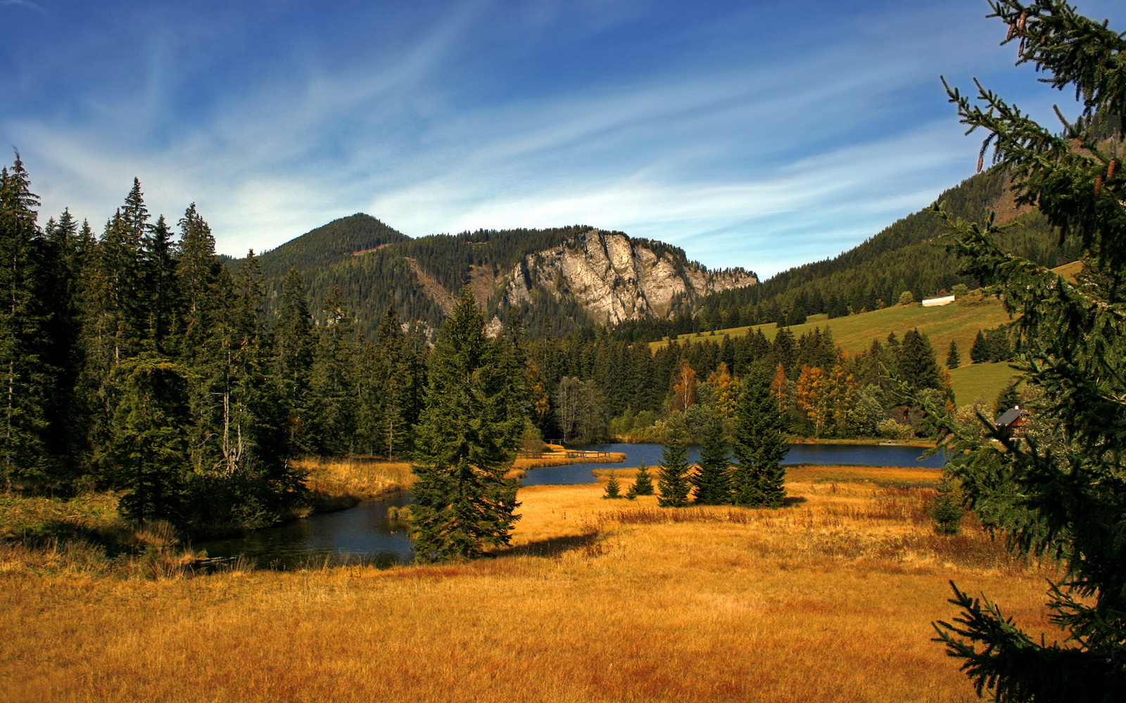 开云中国大陆-体育新闻中心构建赛事转播辅助AI字幕系统，体育转播用语