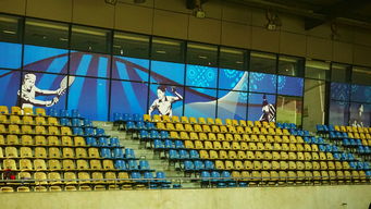 kaiyun体育app-新加坡队未来计划：建立更完善的青少年乒乓培养体系，新加坡乒乓球运动