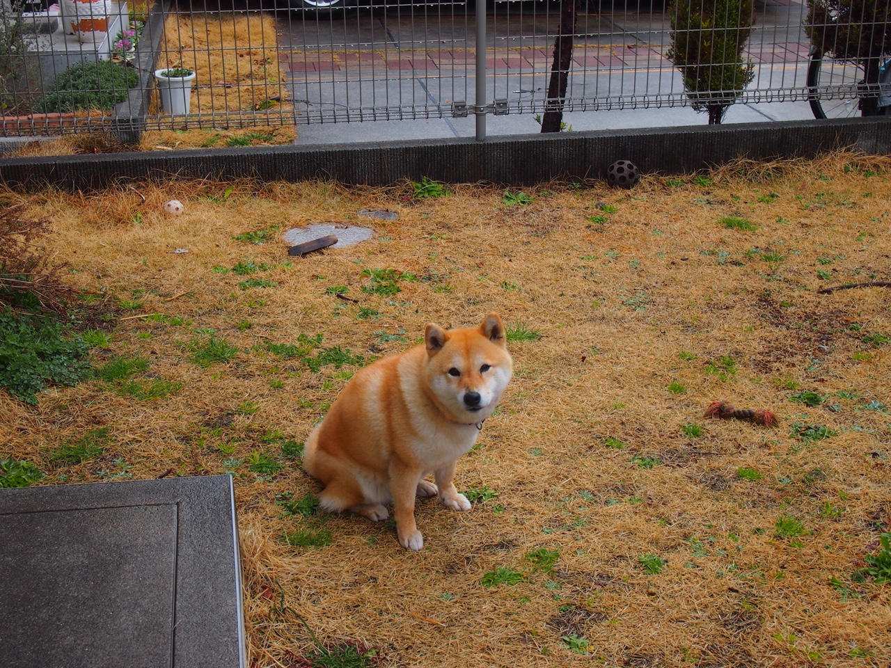 英雄联盟社区活动丰富提升用户参与热情，英雄联盟活动分享群