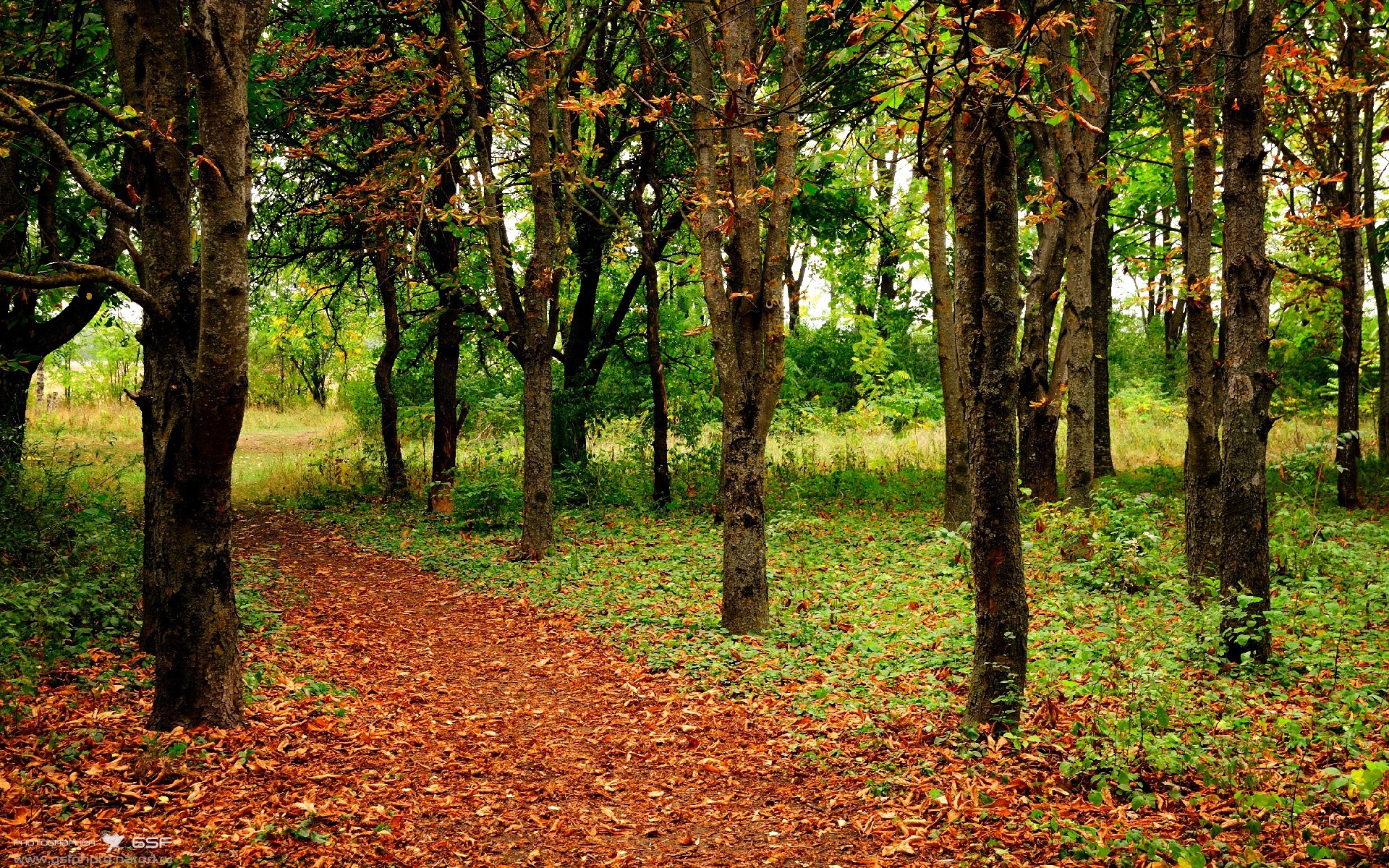 青训体系未实现全国统筹协调发展，中国青训改革