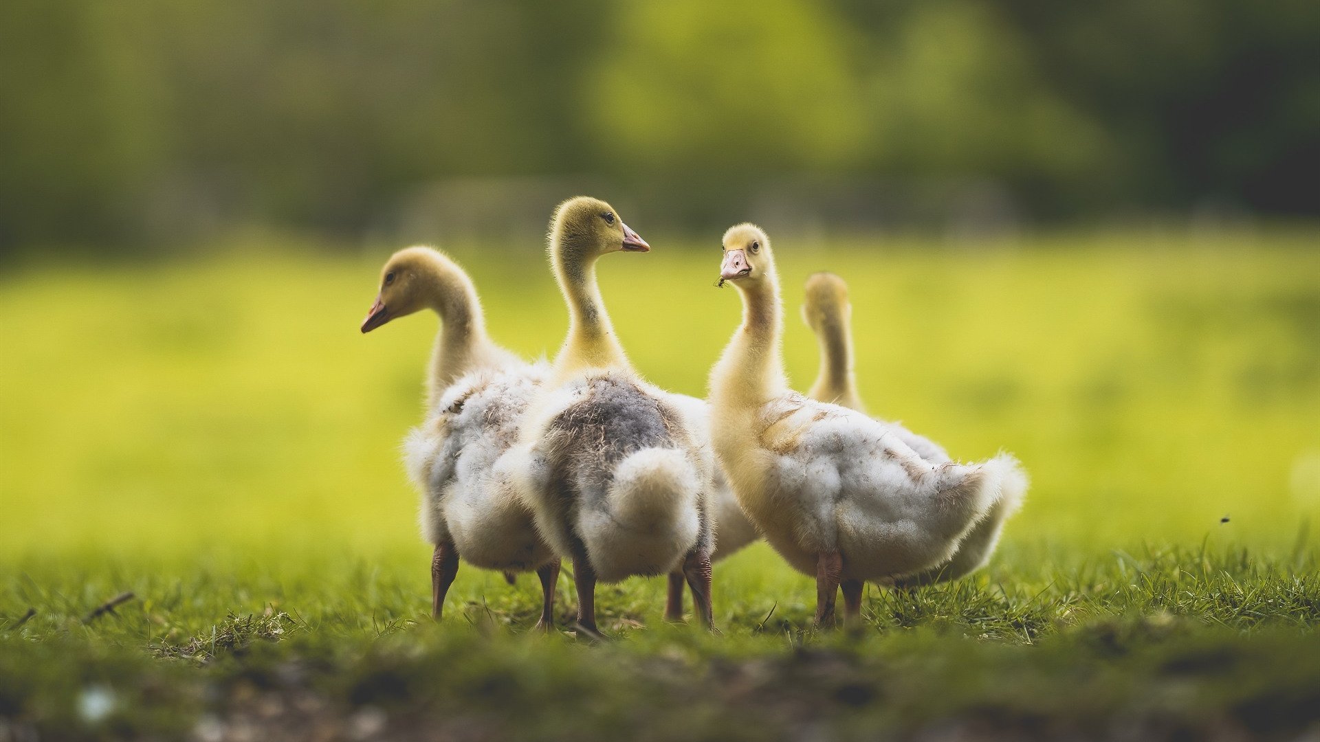 高科技装备提升乒乓训练效率，乒乓球黑科技