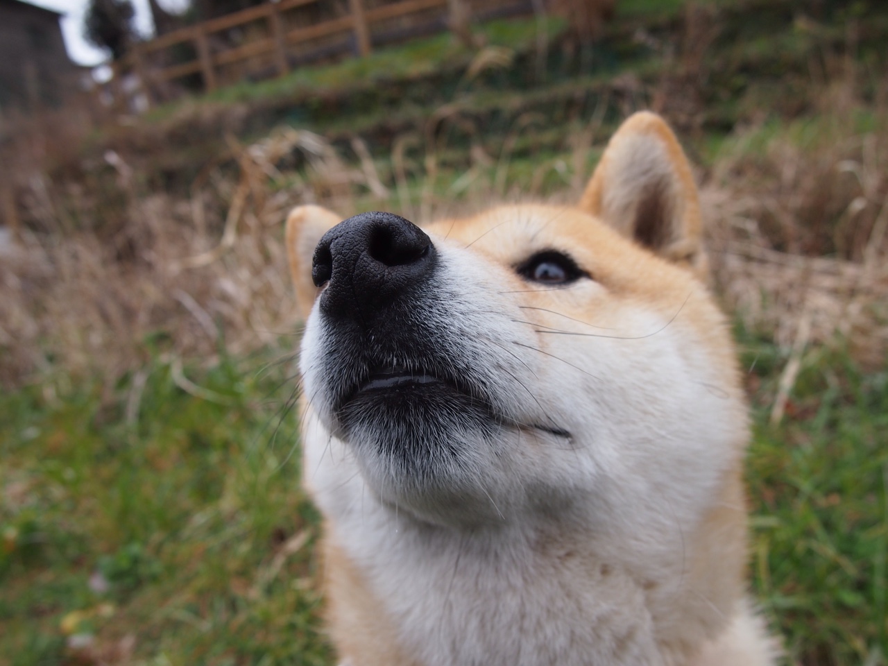 2026世界杯赛场内外全面升级，智能化设施成亮点，2026年世界杯参赛队伍