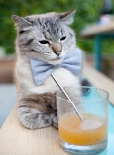 法国新一代天才崭露头角，球队未来无限光明