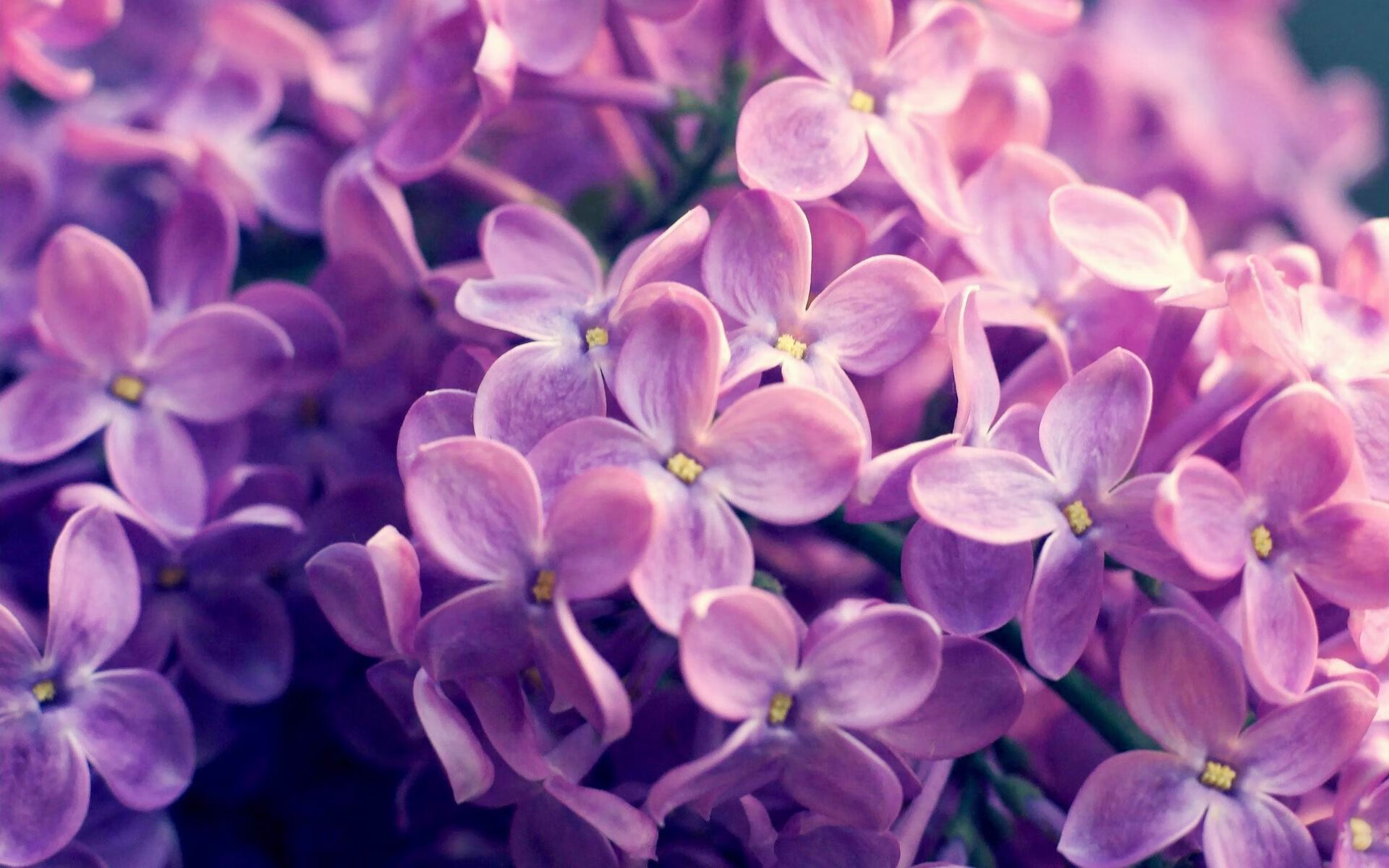 篮球社团联合地方协会打造高校联赛宣传推广活动,篮球社团宣传语句