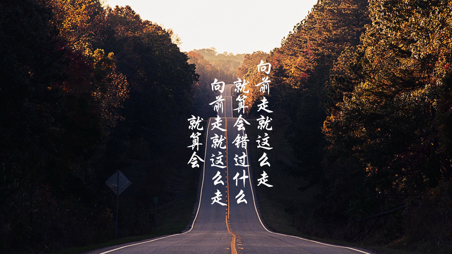 美洲杯激烈拼抢：团队协作和个人突破的完美融合，美洲杯合作伙伴