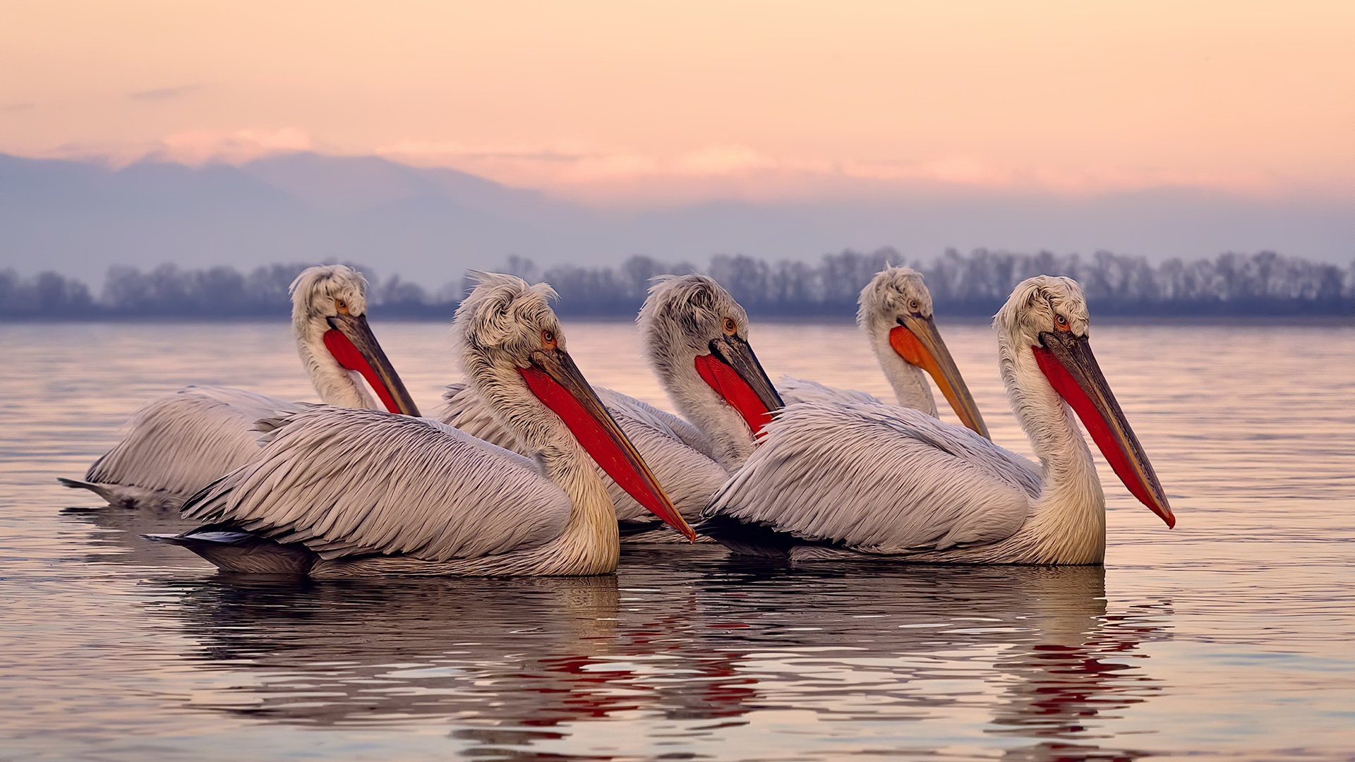 kaiyun登录入口-苏炳添新纪录被写入体育教材推广，苏炳添授课