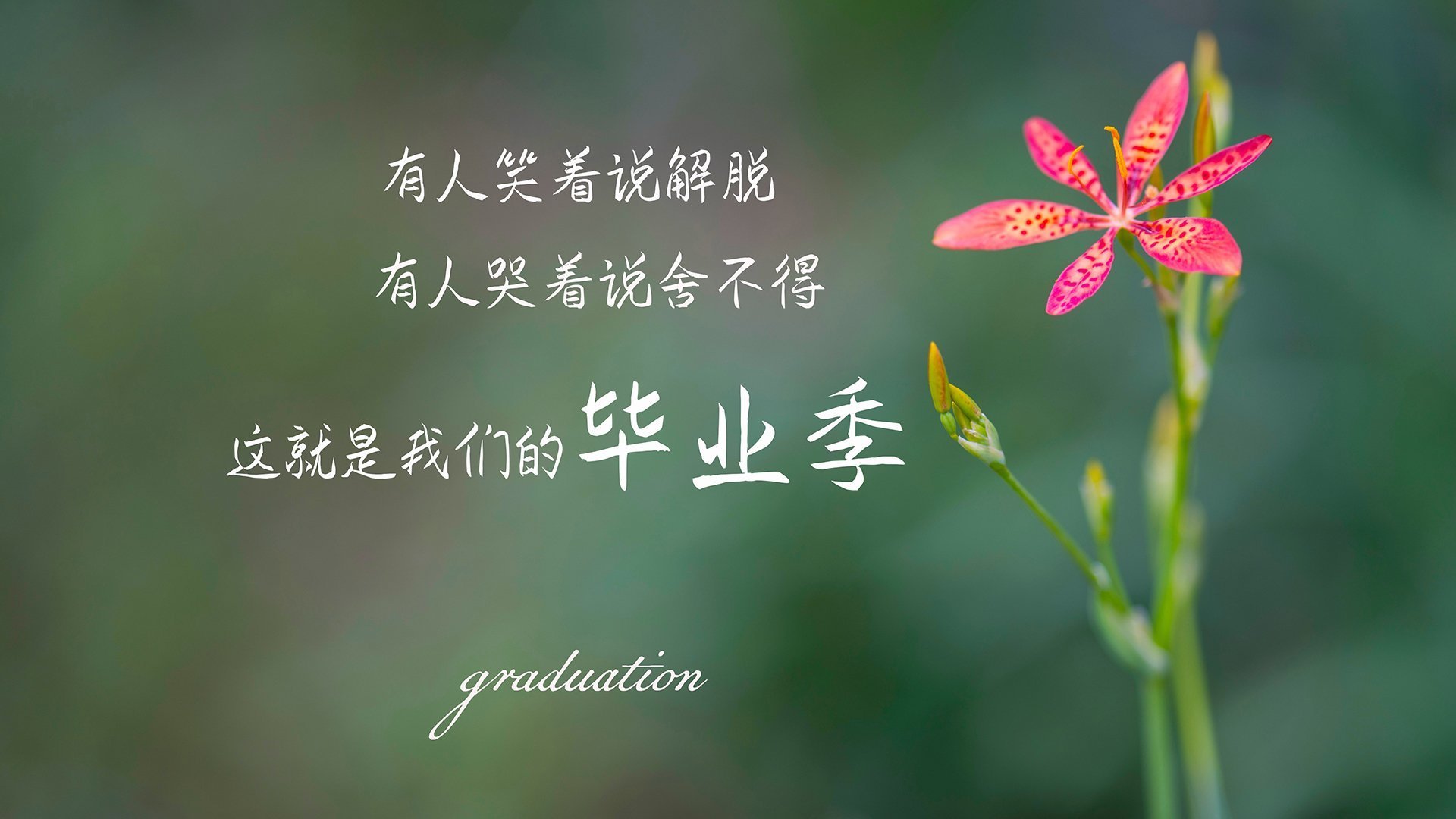 苏炳添新纪录被写入体育教材推广，苏炳添授课