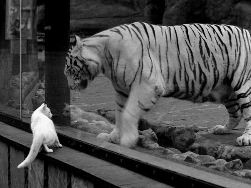 开云平台-赛季收官阶段排位形势愈加复杂每场比赛皆为生死战，赛季完美收官